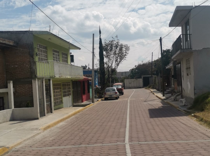 Masculino se suicida colgándose a un árbol en Atlixco 